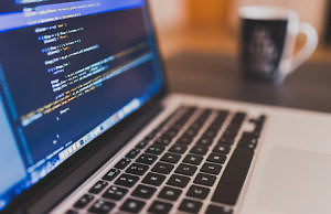 Изучаем программирование бесплатно — программа от фонда BrainBasket