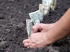 Кого освободили от уплаты налога на землю