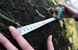 Создана комиссия по организации земельных торгов