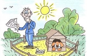 В Каменском принято Положение о порядке исчисления и уплаты земельного налога