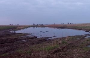 От ужасной вони слезятся глаза и перехватывает дыхание