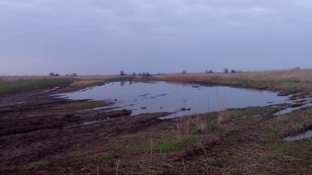 17887441_494244064299896_1238700037_o