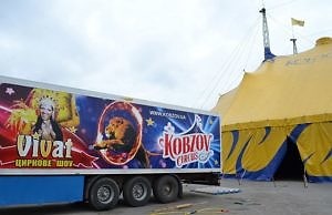 За расположение цирка в Каменском дают откаты?