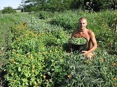 Органическое земледелие на даче: мифы и реальность