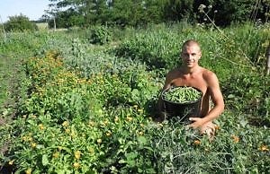 Органическое земледелие на даче: мифы и реальность