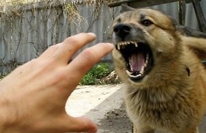 В шаге от трагедии. Халатность врачей и других структур города может стоить вам жизни