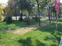 Центральный парк Каменского: задумывали одно, получили другое