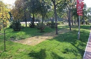 Центральный парк Каменского: задумывали одно, получили другое