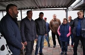 Лодочную станцию Каменского проверят на предмет целевого использования земель