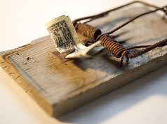 Бесплатный сыр бывает только в мышеловке