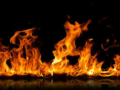 Год «Огненного петуха» продолжается