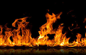 Год «Огненного петуха» продолжается