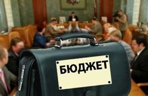 Активисты в Каменском тоже хотят делить бюджет