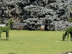 От благоустройства к благополучию и наоборот