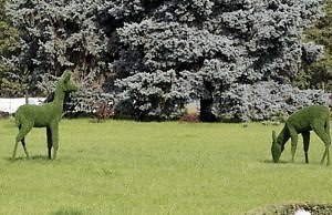 От благоустройства к благополучию и наоборот