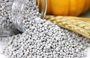 В Каменском возобновили выпуск аммофоса