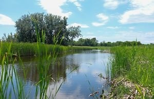 Завершается восстановление одной из рек вблизи Каменского