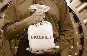 Сколько получил и сколько потратил бюджет Каменского за период с 25 июня по 1 июля