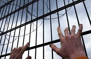 В Каменском создадут новые наблюдательные комиссии