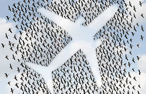 Под Каменским будет современный аэропорт