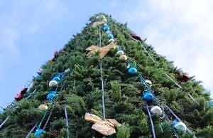 Программа мероприятий в учреждениях культуры Каменского с 2 по 9 января