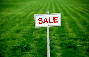 Чем чревата отмена моратория на продажу украинской земли