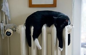 Работы по подаче тепла в Каменском будут проводиться еще в течении 10 дней