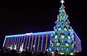 Во сколько обойдется городская елка Каменскому?