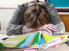 Педагоги Каменского смогут получить премию