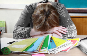 Педагоги Каменского смогут получить премию