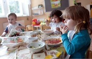 Почему изменилась родительская плата за питание в детских садах Каменского