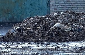 В Департаменте экологии ответили на петицию по вредному производству в Каменском