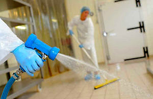 Спасатели области получили гипохлорит натрия для дезинфекции