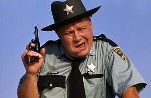 Вместо участковых, в областях появятся правоохранители нового формата