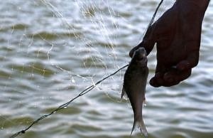 Где с 1 ноября запретили ловить рыбу