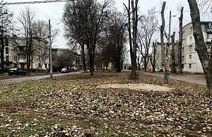 Работы по уборке листьев и мусора провалены