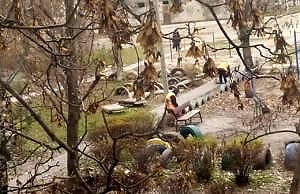 Десяток дворников гастролирует создавая видимость работы