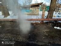 140295110_402168111064525_380365444032089553_n