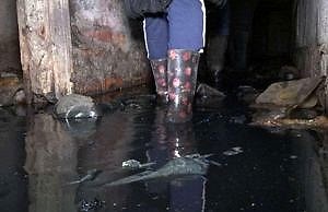 Два месяца «не коллапса». Что происходит с коммунальной сферой