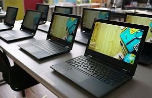 Как работает «пчелинная» ботоферма