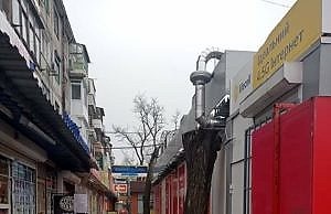 Белоусов негласно отменил запрет на застройку тротуаров и зеленых зон