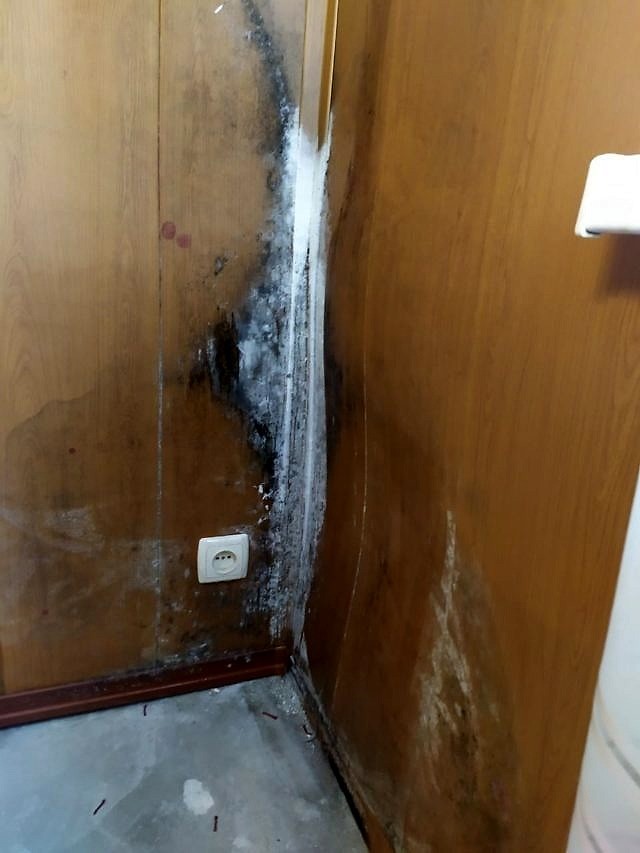 164338085_442943526765852_909026459689645426_n