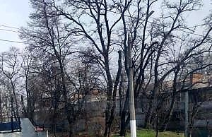 Дошли до средины, в начале рассыпалось. Некачественная укладка брусчатки продолжается