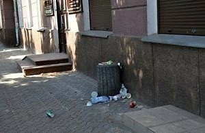 На улицах Каменского поставят позолоченные урны?