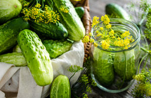 Огірки, як із бочки: сучасний варіант старовинної заготівлі