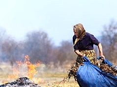 Почему нельзя жечь листья и траву и какой штраф?