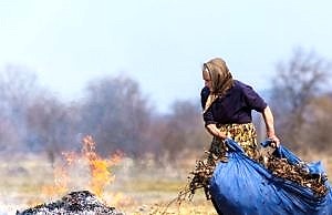 Почему нельзя жечь листья и траву и какой штраф?