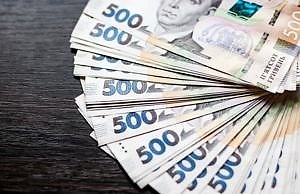 В Украине начнут выплачивать компенсации ФЛП