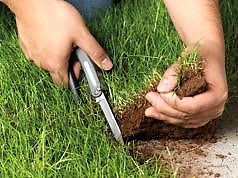 Депутаты предложили конфисковывать неэффективные земли