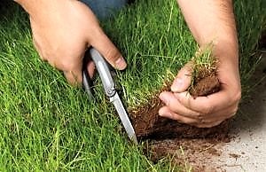 Депутаты предложили конфисковывать неэффективные земли